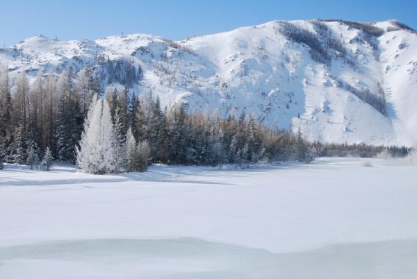 Предгорье Алтая зимой