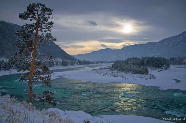 Природа горного Алтая река Катунь