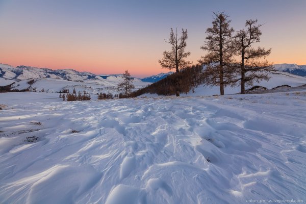 Степь зимой