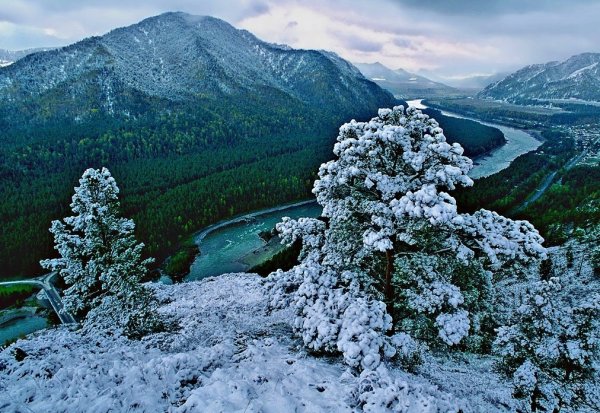 Алтайский край зимой Катунь горы