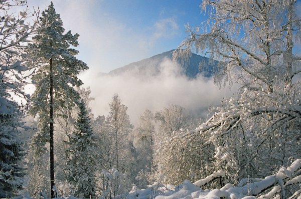 Дальний Восток зима
