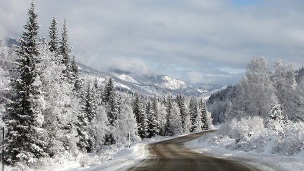 Алтай зимой климат
