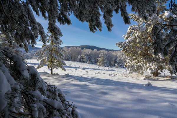 Белокуриха Алтай зимой