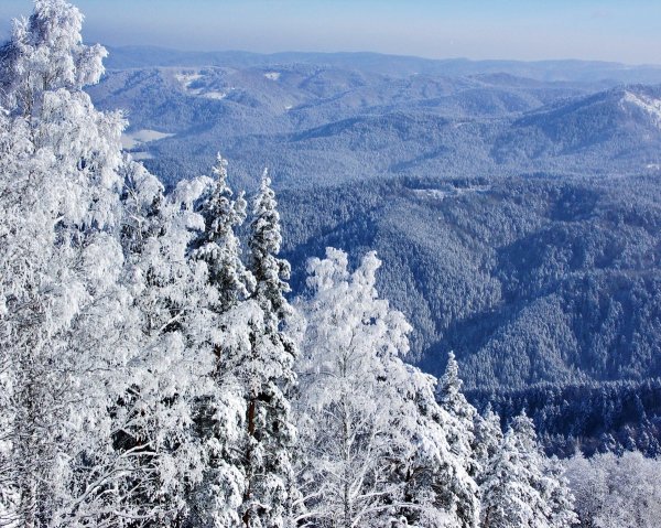 Белокуриха Алтай зима