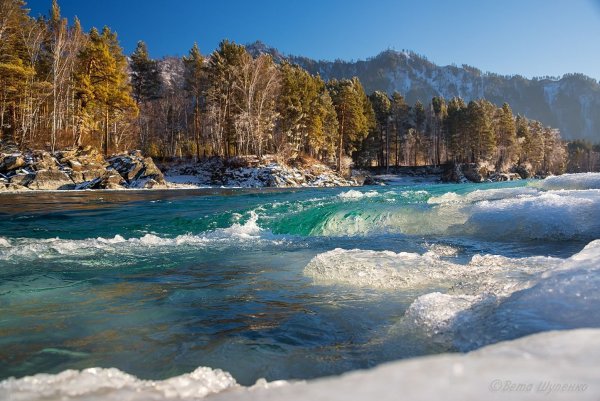 Природа горного Алтая река Катунь