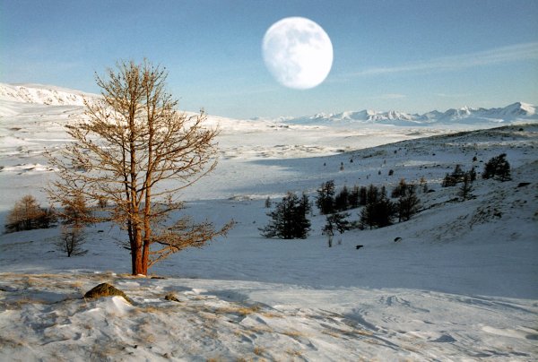 Природа Алтайского края зима