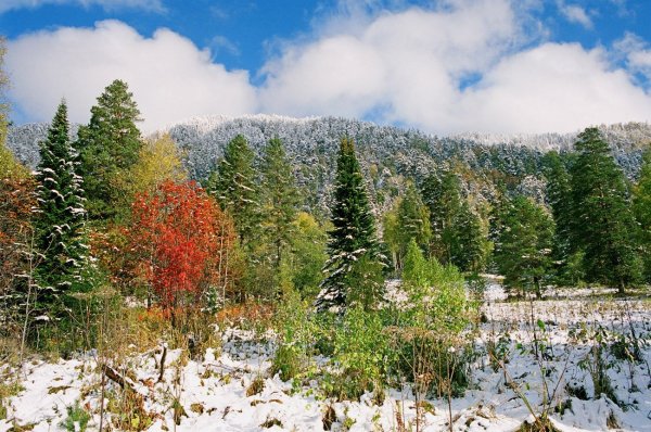 Уссурийская Тайга весной