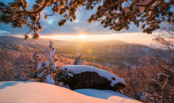 Белокуриха Алтай природа