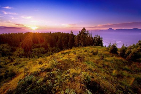 Пейзажи настоящие