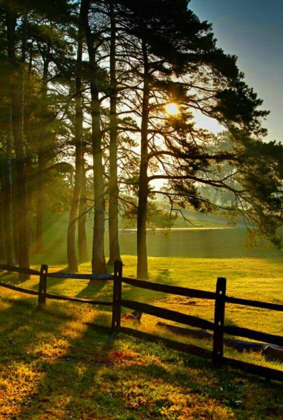 Профессиональные пейзажи