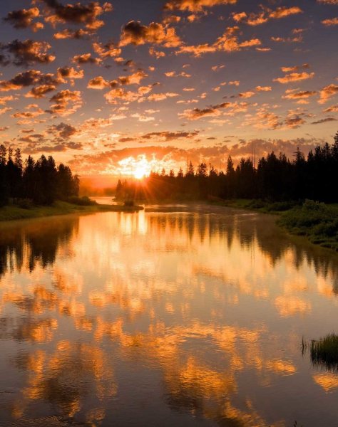 Закат в лесу