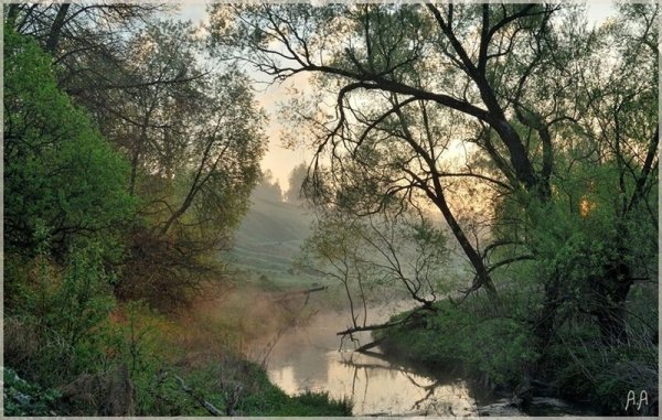 Закрытый пейзаж в природе
