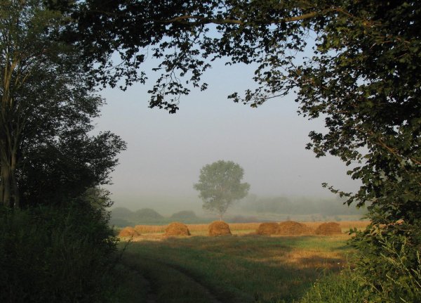 Тональная перспектива тональная перспектива