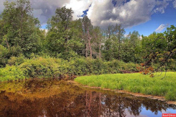 Тулашор заповедник Кировской области