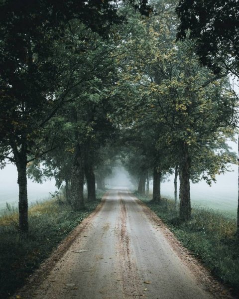 Природа на пленку