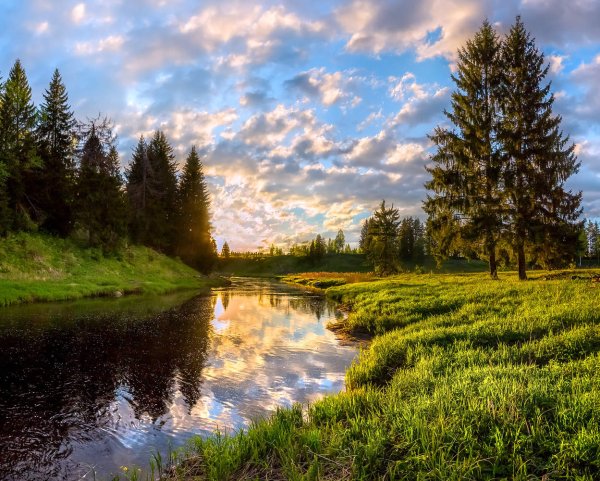 Природа ручей лес Россия