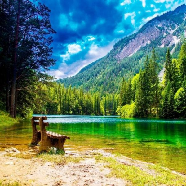 Озеро в лесу