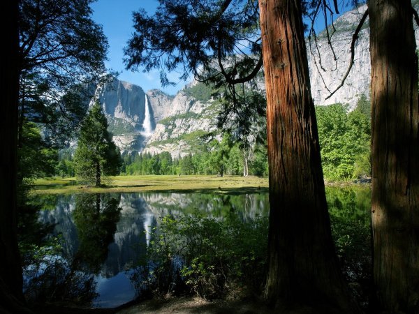 Йосемитский национальный парк вода ствол