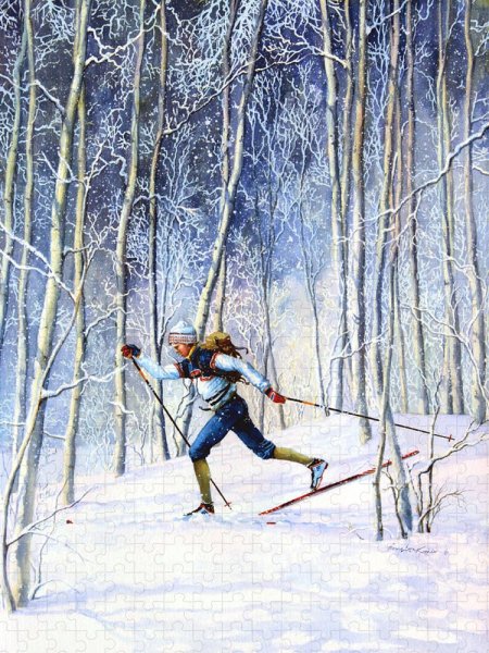 Горные лыжи живопись