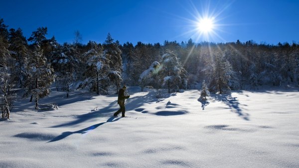 Зимний пейзаж Лыжня
