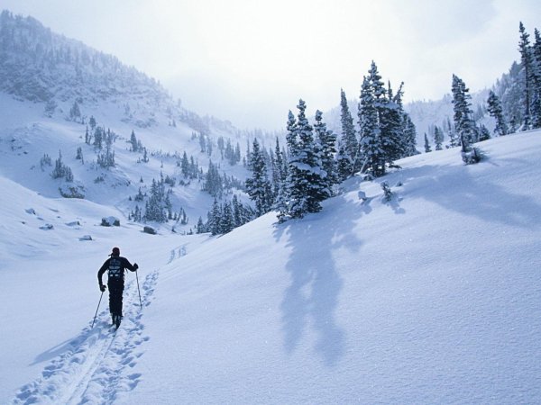 Горы зима лыжник