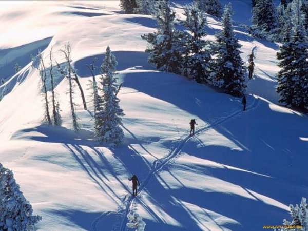 Лыжня в горах