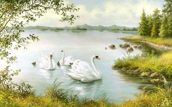 Пейзаж с лебедями живопись