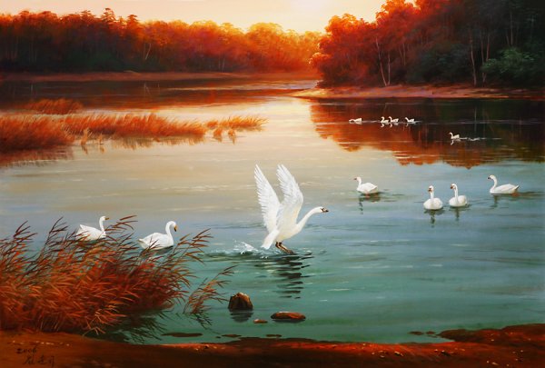 Пейзажи с лебедями маслом