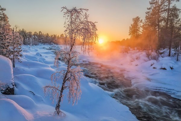 Зимний лес с речкой