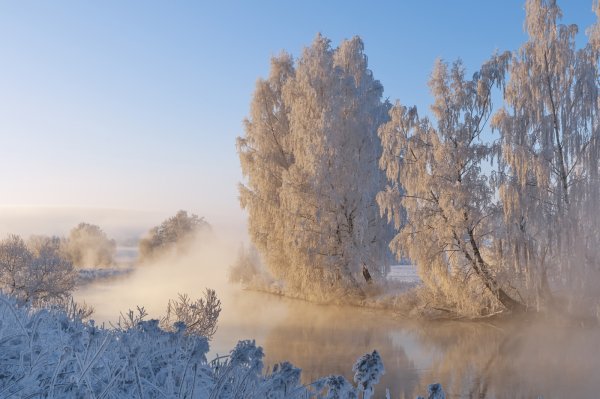 Утренний туман зимой