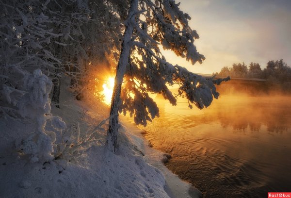 Пейзаж ранняя зима