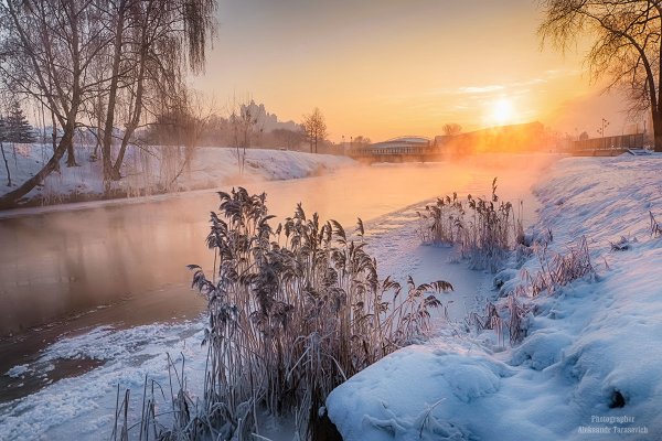 Солнечная зима