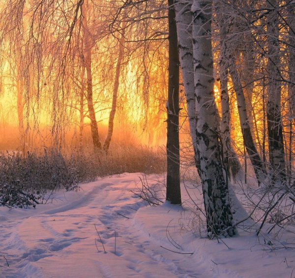 Рассвет зимой