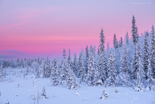 Природа севера России