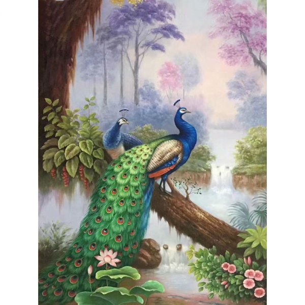 Красивые Павлины на природе