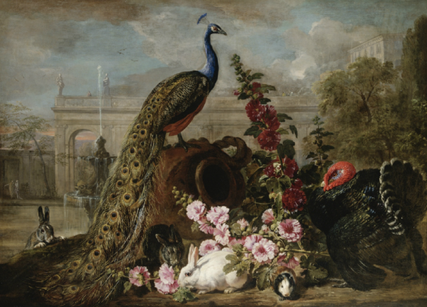 Давид де Конинк