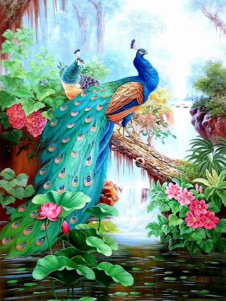 Алмазные мозаики 5d Павлин