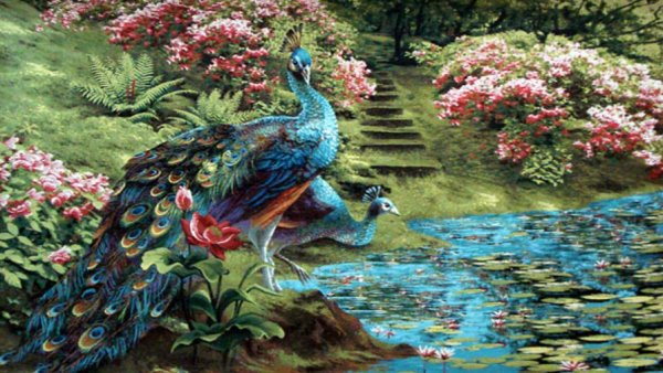 Аффреско Павлин