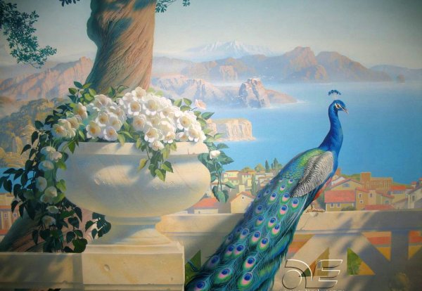 Павлин Райская птица