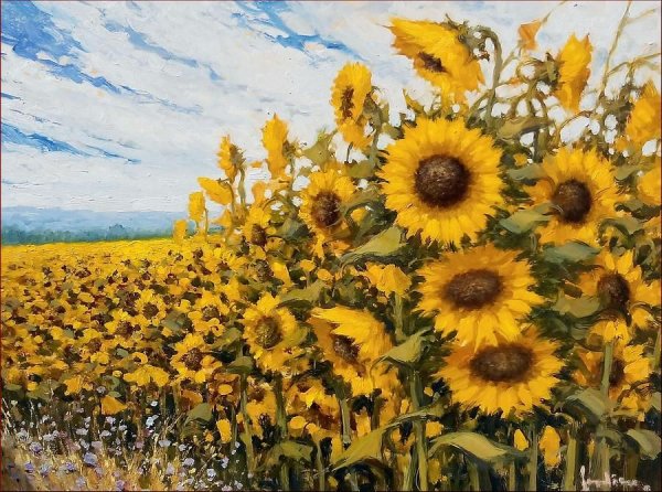 Поле подсолнухов Эрмитаж