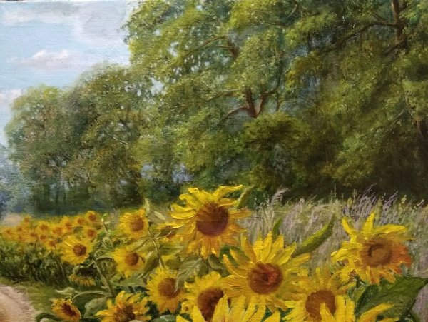 Дмитрий Левин Подсолнухи