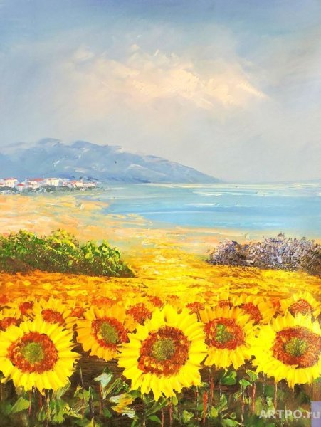Борис Щербаков Подсолнухи