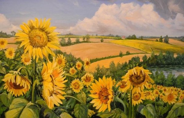 Картина поле подсолнухов