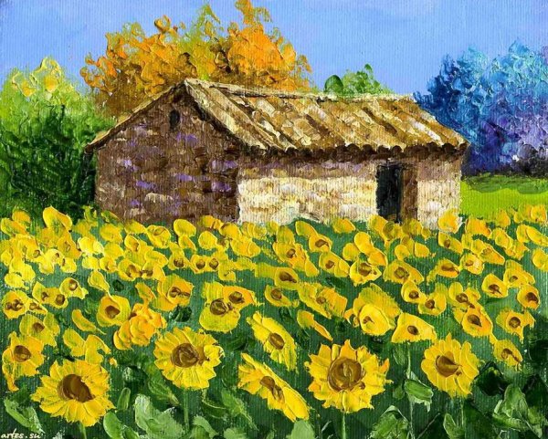 Кубань плетни Подсолнухи