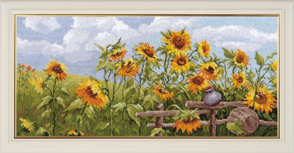 Пейзаж поле подсолнухов