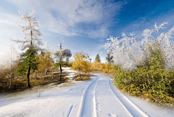 Зима пейзаж