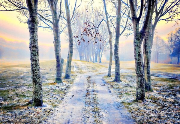 Берег реки зимой