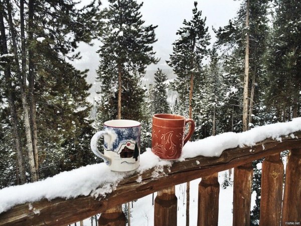 Кофе зимой