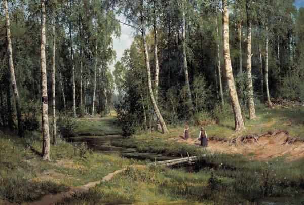 Ручей в Березовом лесу. И. Шишкин. 1883