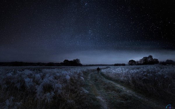 Природа ночью